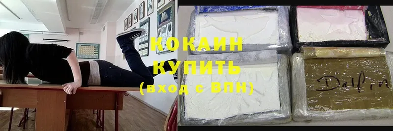 Cocaine Эквадор  Правдинск 